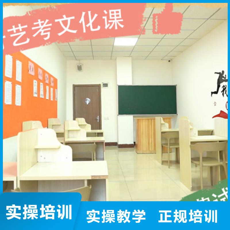 艺考文化课【艺考培训学校】手把手教学