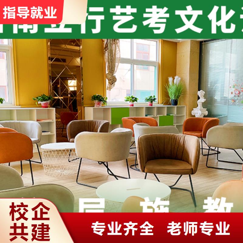 藝考生文化課沖刺高考語文輔導(dǎo)高薪就業(yè)