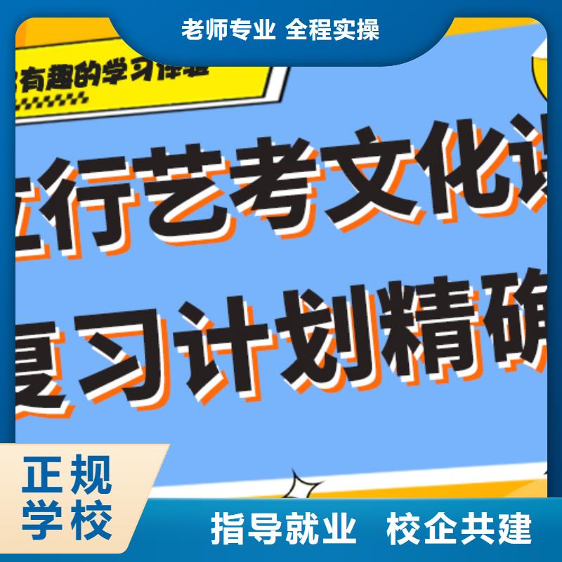 藝考生文化課沖刺藝術(shù)生文化補習實操培訓