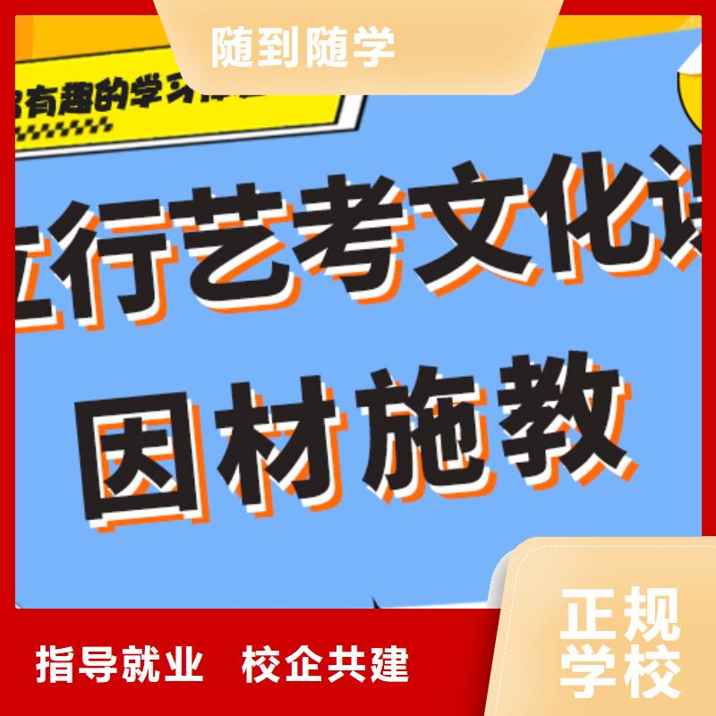 藝考生文化課沖刺藝術(shù)生文化補習實操培訓