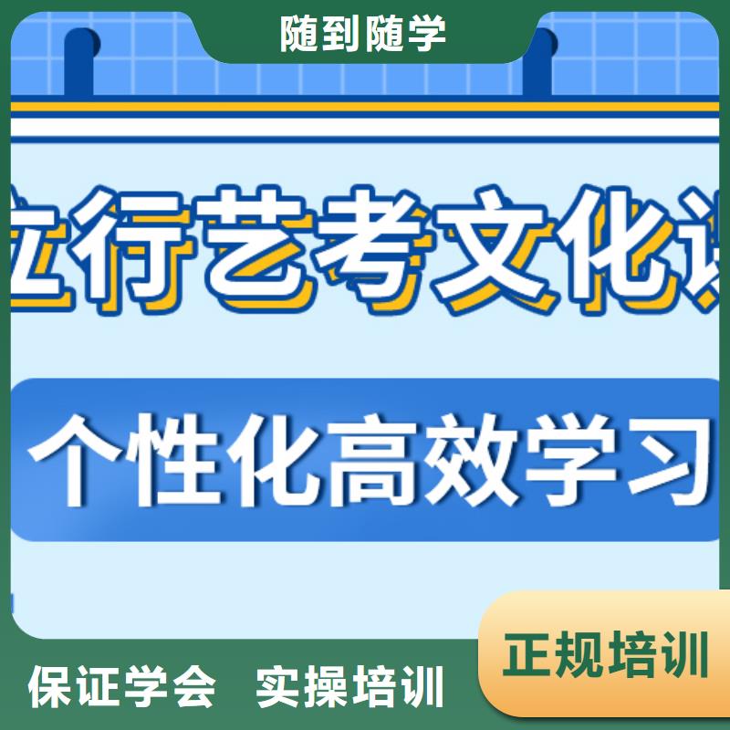 艺考生文化课冲刺【高中一对一辅导】正规学校