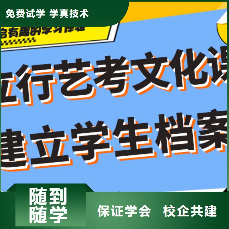 艺考文化课集训班高考书法培训实操教学