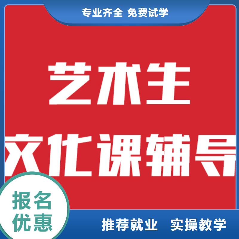 艺考文化课机构艺考培训手把手教学