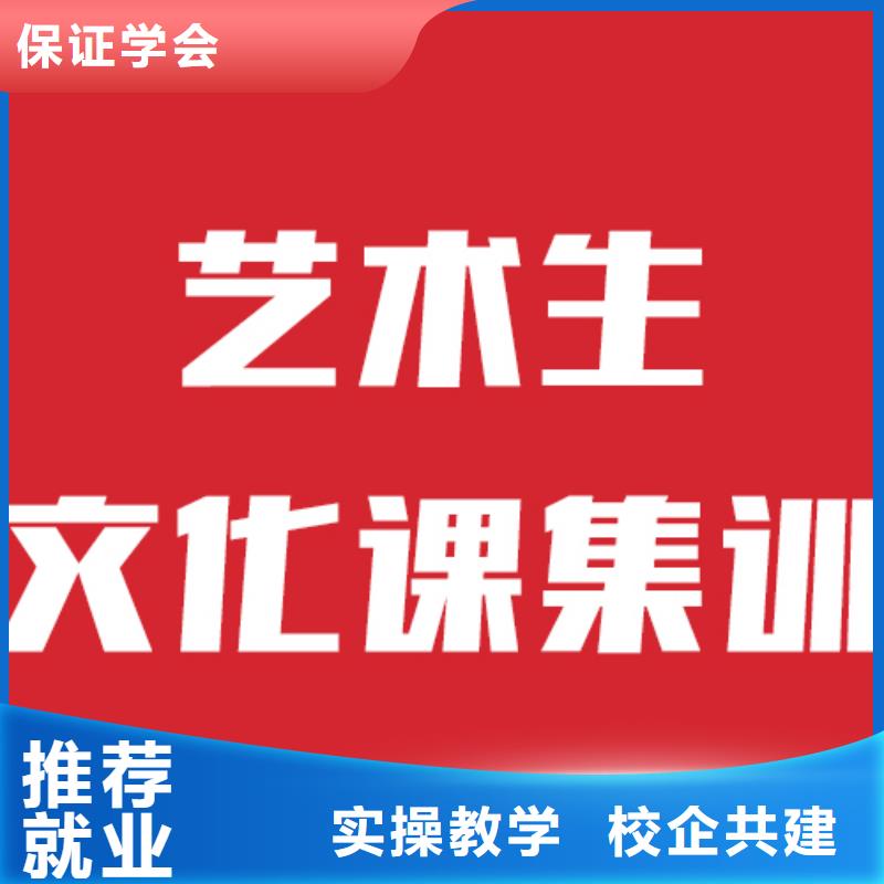 藝考文化課機構(gòu)高考復(fù)讀周六班老師專業(yè)