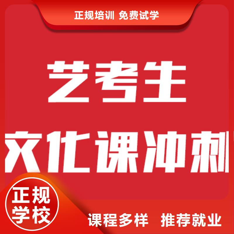 藝考文化課機構(gòu)高考復(fù)讀周六班老師專業(yè)