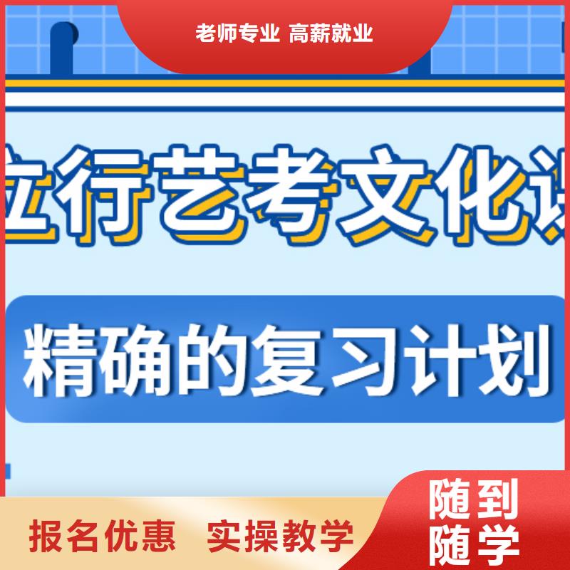 藝考文化課培訓(xùn)班_高考語文輔導(dǎo)老師專業(yè)