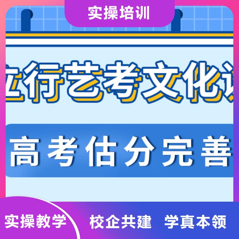 藝考文化課培訓(xùn)班_高考語文輔導(dǎo)老師專業(yè)
