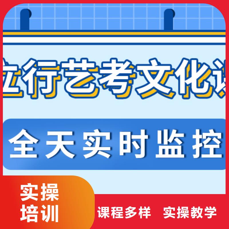 藝考文化課培訓(xùn)班_高考語文輔導(dǎo)老師專業(yè)
