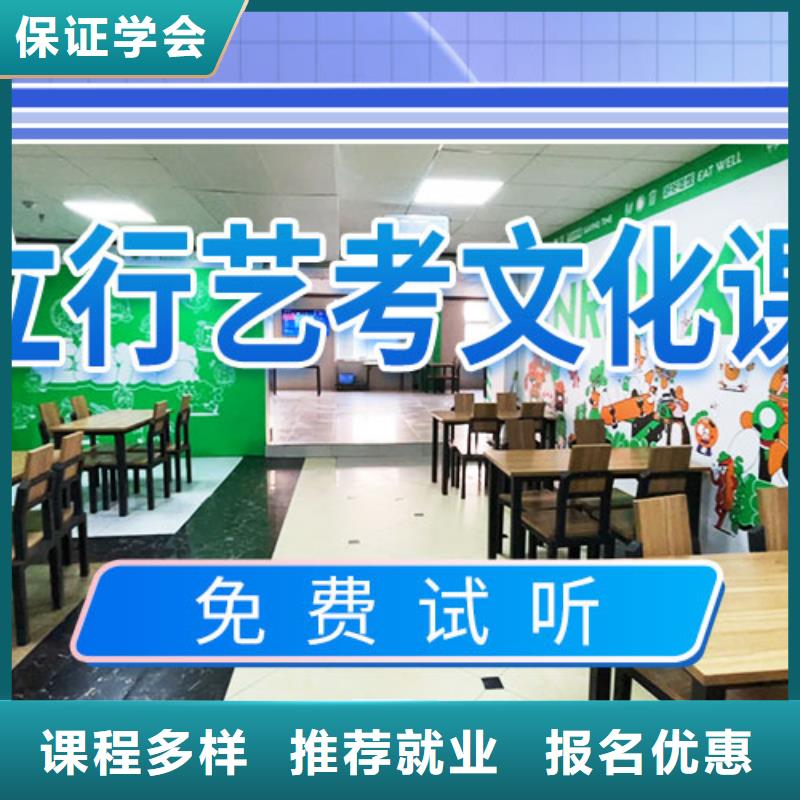 藝考文化課輔導(dǎo)_高考手把手教學(xué)