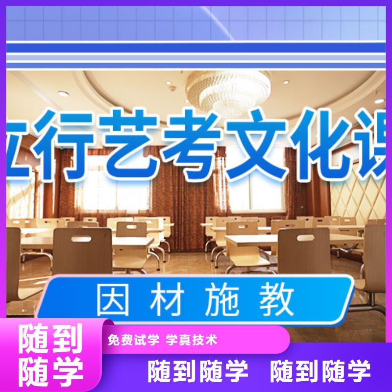 藝考文化課輔導(dǎo)_高考手把手教學(xué)