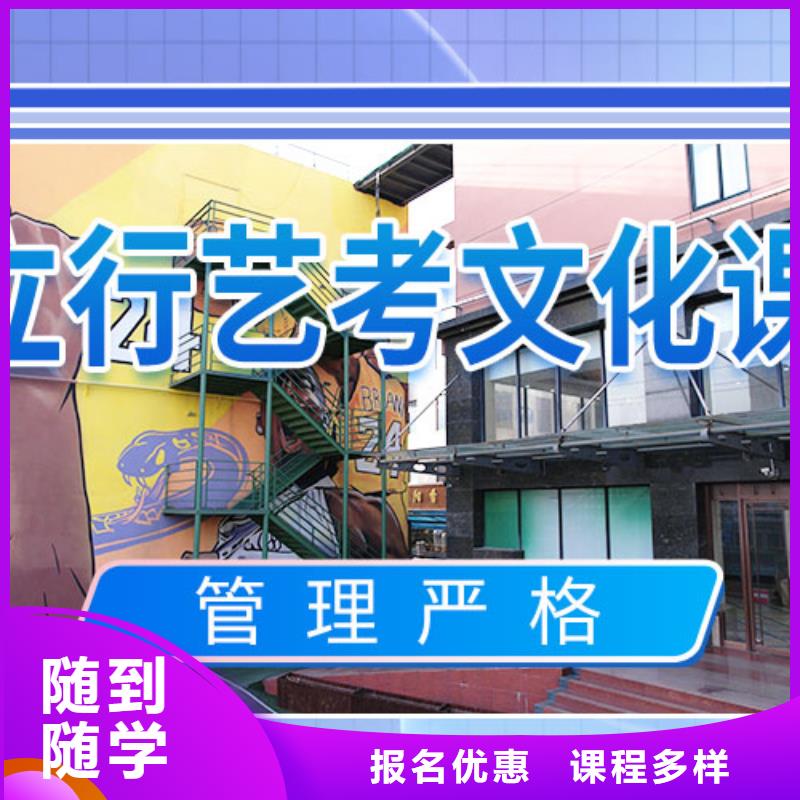 藝考文化課輔導(dǎo)_高考手把手教學(xué)