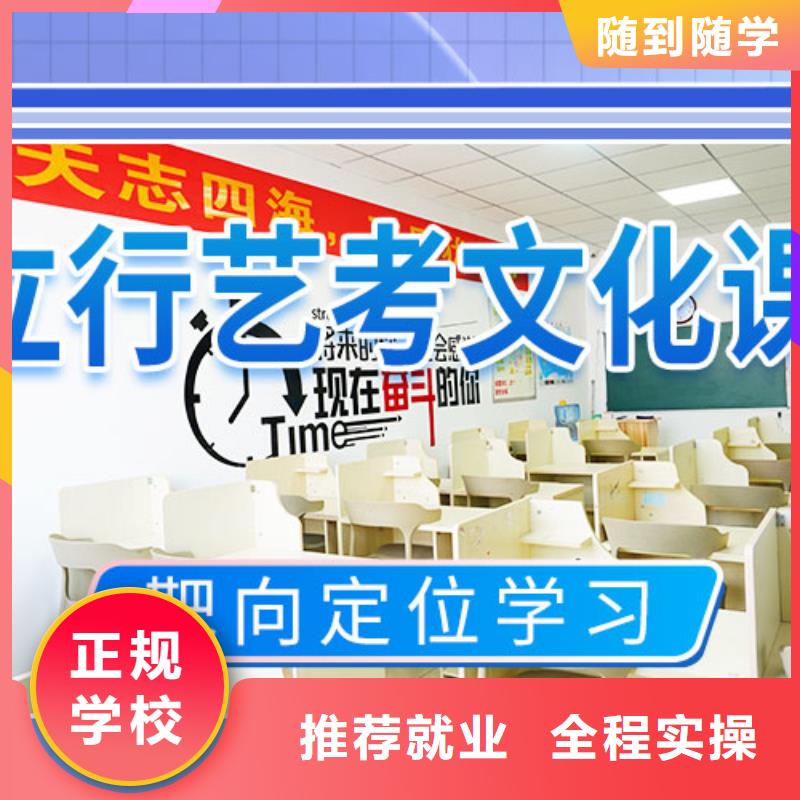 藝考文化課輔導(dǎo)_高考手把手教學(xué)