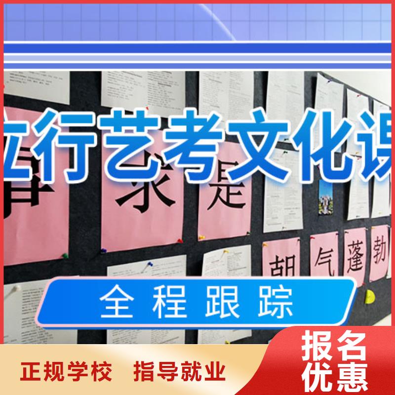 藝考文化課輔導(dǎo)_高考手把手教學(xué)