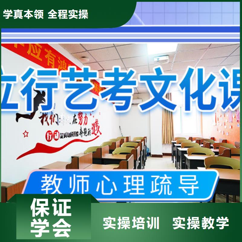藝考文化課輔導(dǎo)_高考手把手教學(xué)