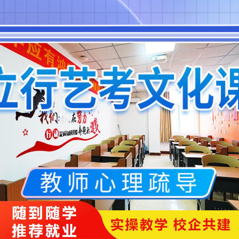 藝考文化課輔導(dǎo)_高考手把手教學(xué)
