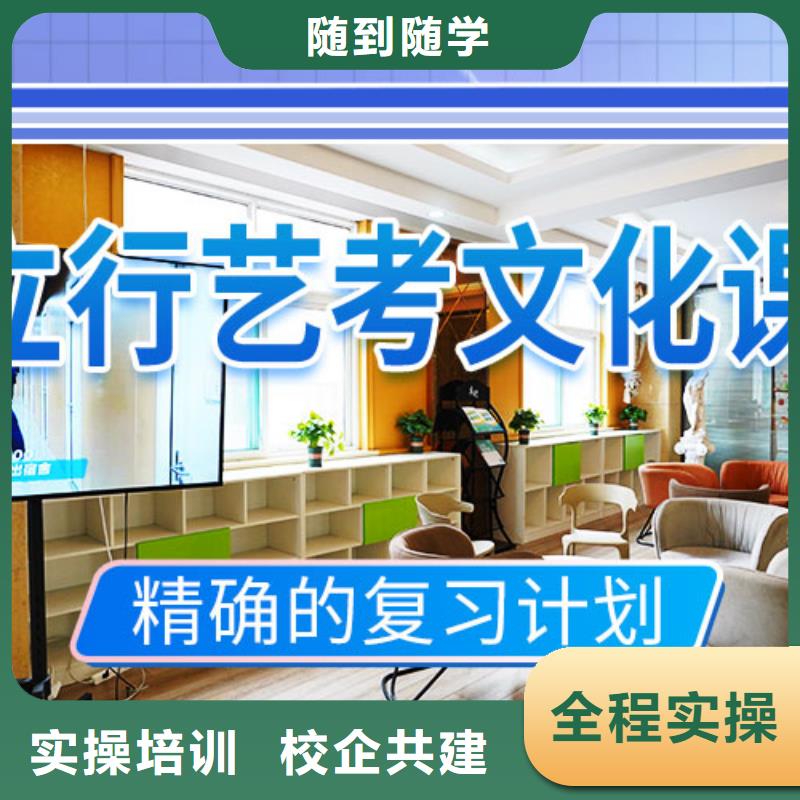 藝考文化課輔導(dǎo)_高考手把手教學(xué)