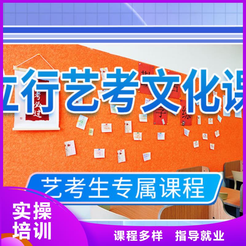 藝考文化課輔導(dǎo)【高考復(fù)讀清北班】學(xué)真技術(shù)