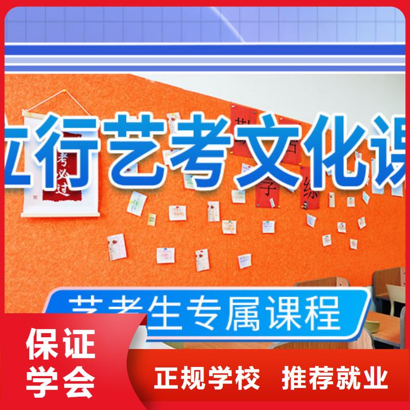 藝考文化課輔導(dǎo)_高考手把手教學(xué)