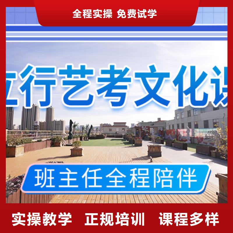 藝考文化課補習-高考復讀周六班師資力量強