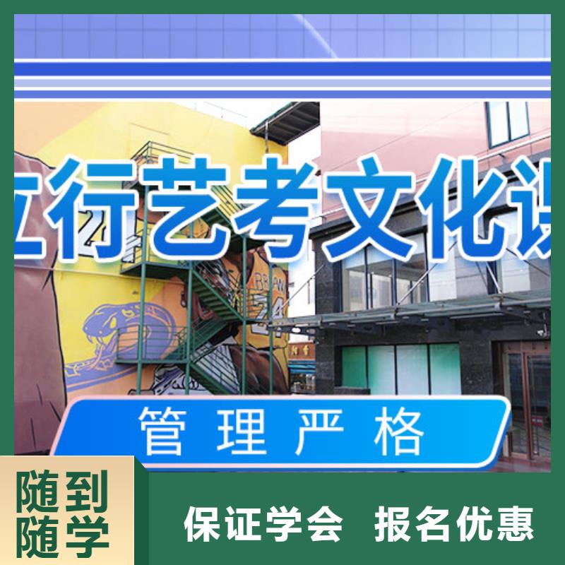 艺考文化课补习艺考辅导正规培训