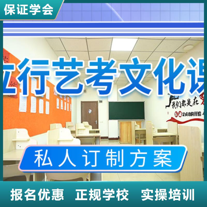 藝考文化課集訓(xùn)高考語(yǔ)文輔導(dǎo)正規(guī)培訓(xùn)