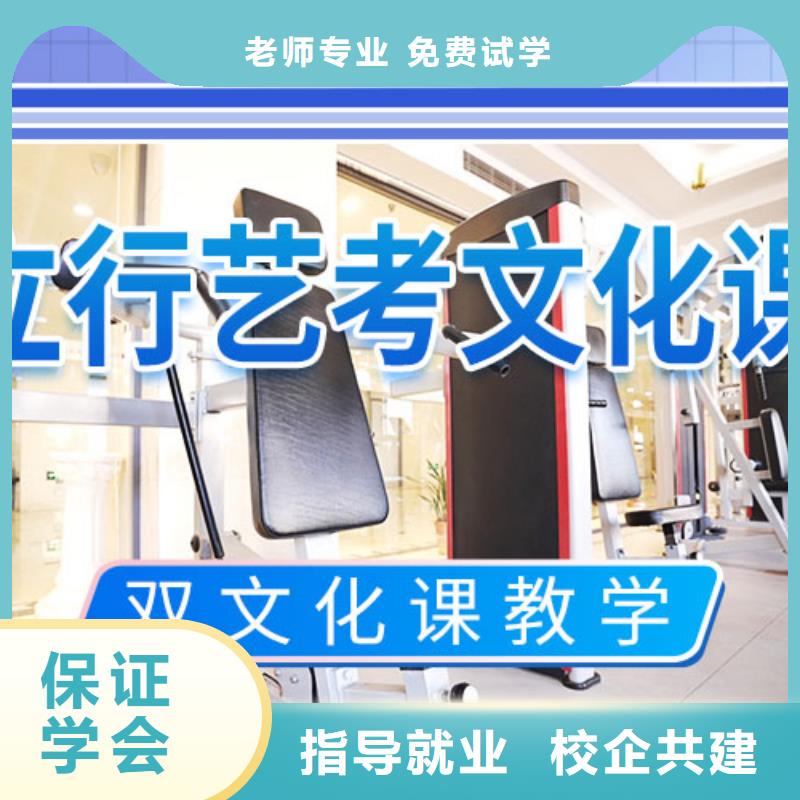 艺考文化课集训高考语文辅导正规培训