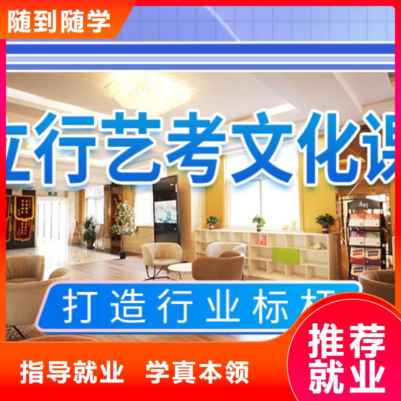 艺考文化课集训高考冲刺辅导机构手把手教学