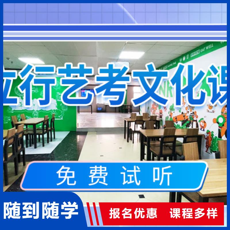 艺考文化课集训高考语文辅导正规培训