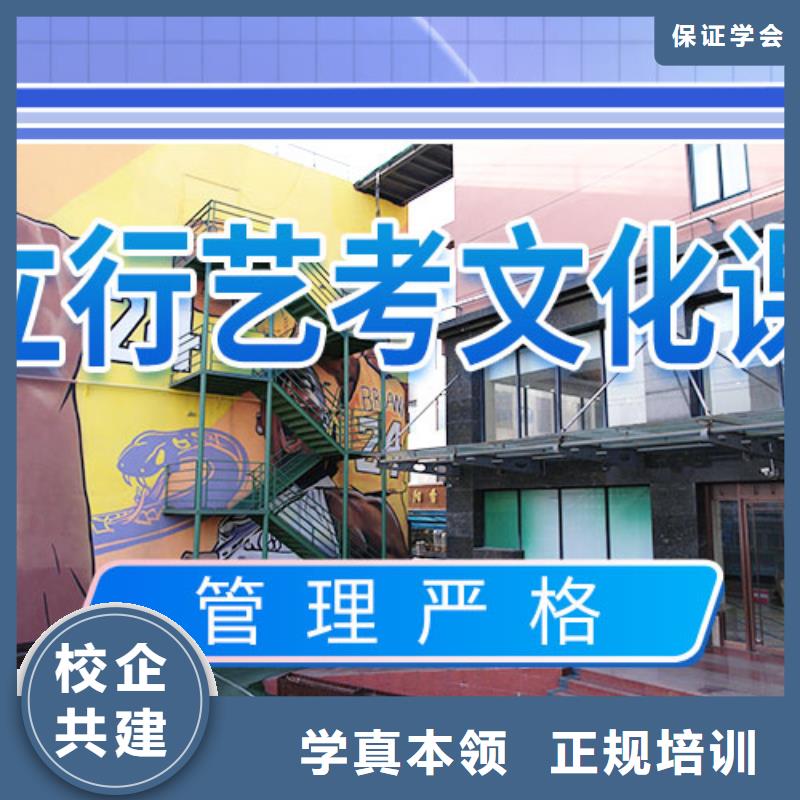 艺考文化课集训高考语文辅导正规培训