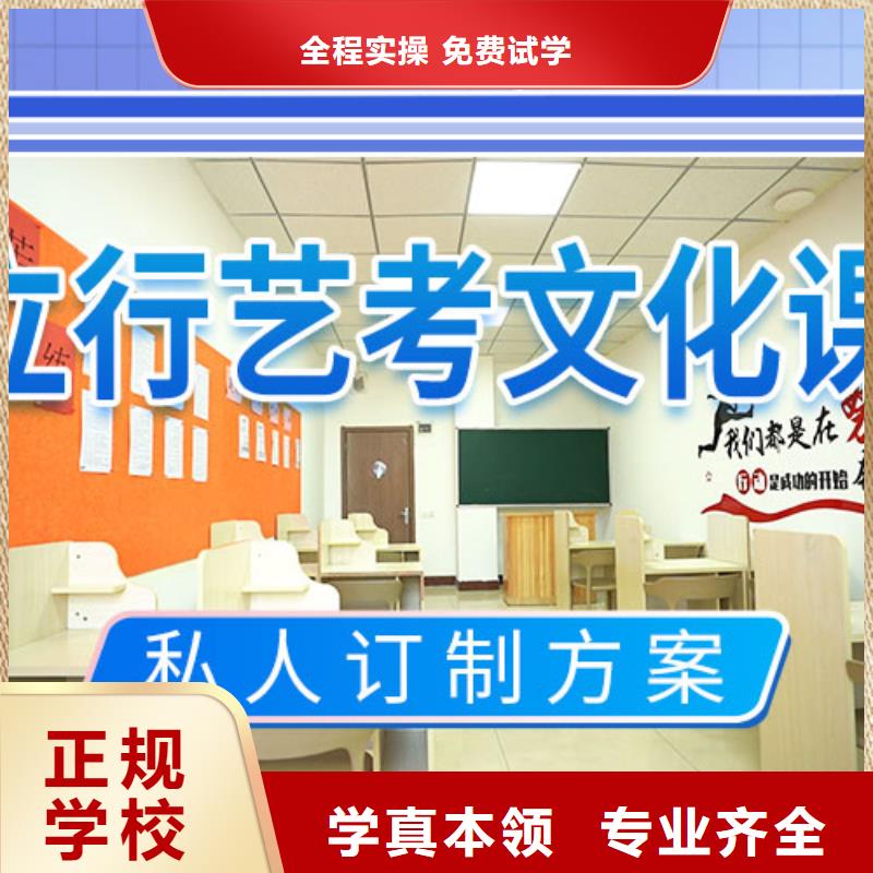 艺考文化课培训艺考师资力量强