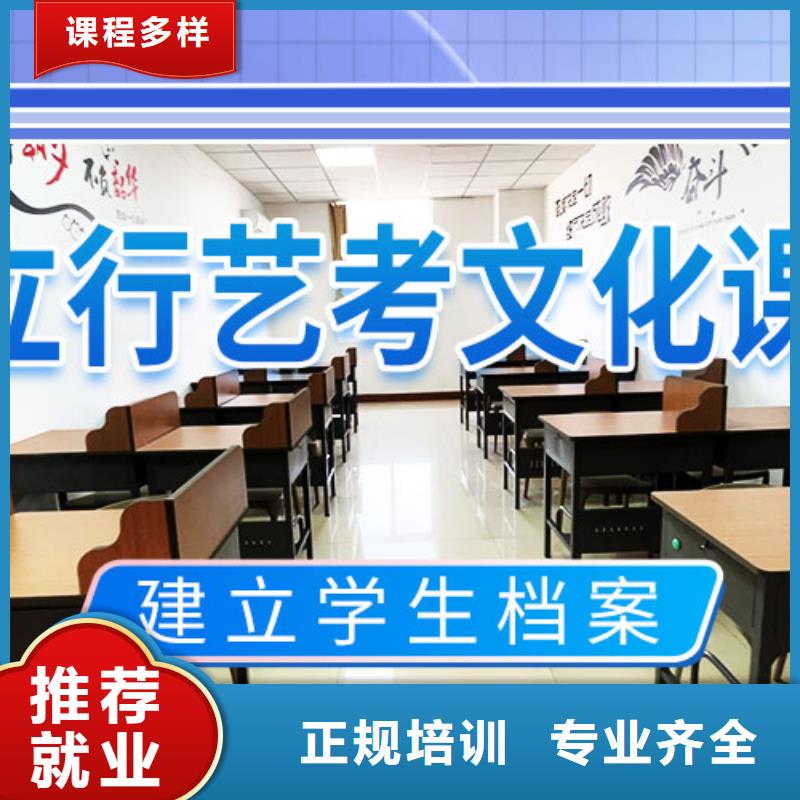 藝考文化課培訓藝考一對一教學指導就業(yè)
