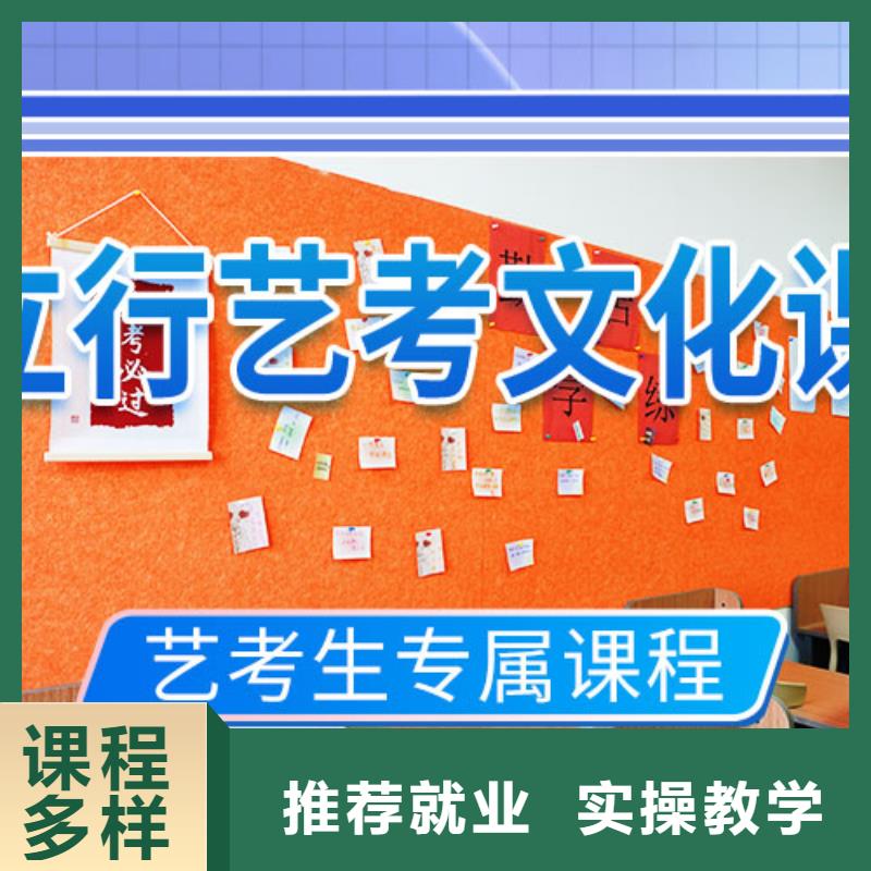 藝考文化課培訓藝考一對一教學指導就業(yè)