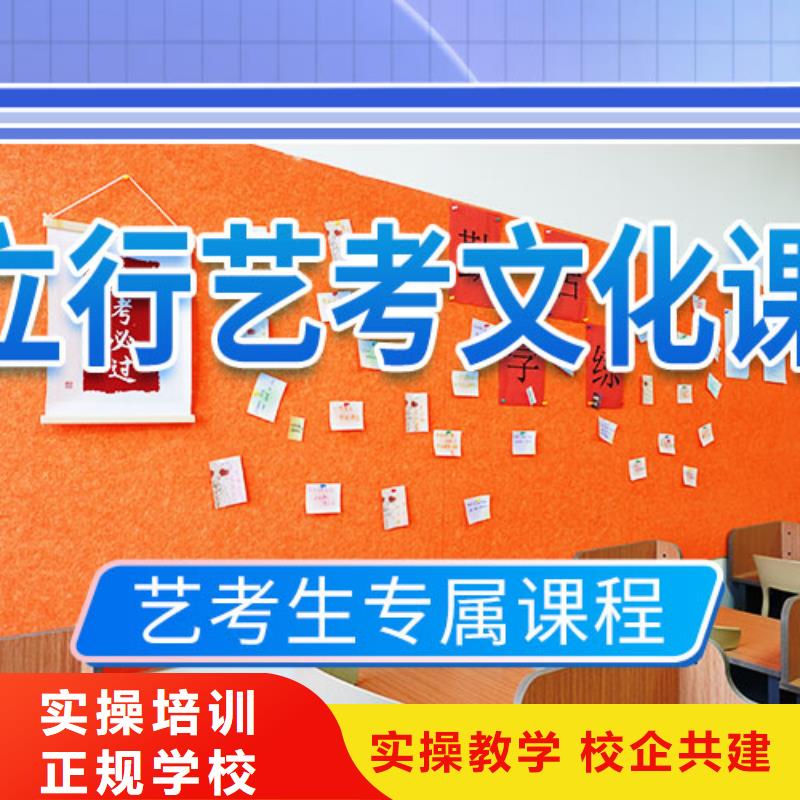 藝考文化課培訓藝考一對一教學指導就業(yè)