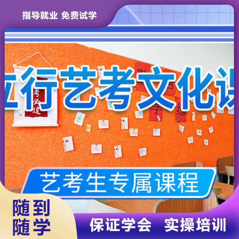 藝考文化課培訓藝考一對一教學指導就業(yè)