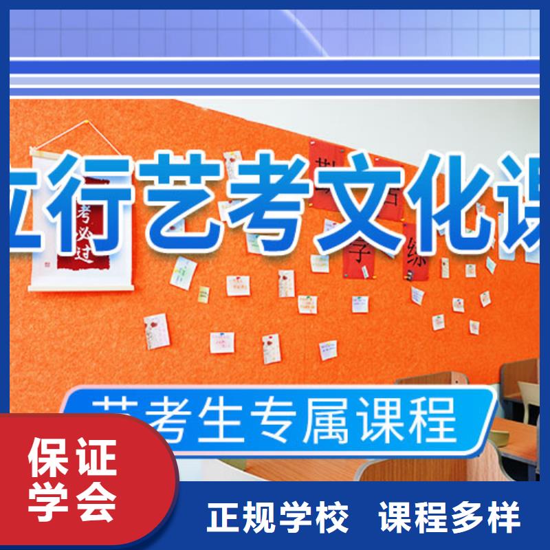 藝考文化課培訓藝考一對一教學指導就業(yè)
