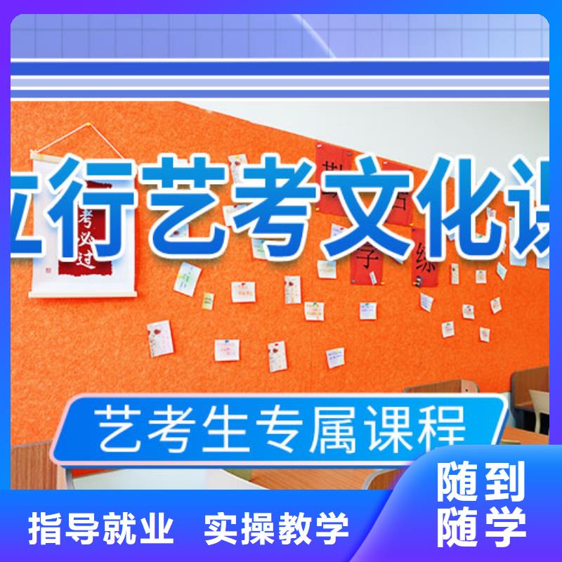 藝考文化課培訓藝考一對一教學指導就業(yè)