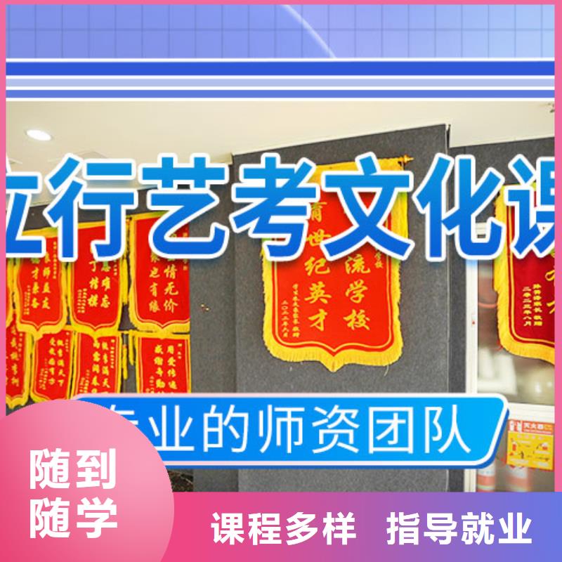 艺考文化课冲刺艺考复读清北班理论+实操