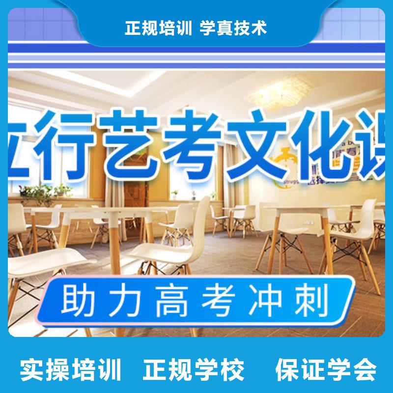 艺考文化课冲刺艺考复读清北班理论+实操