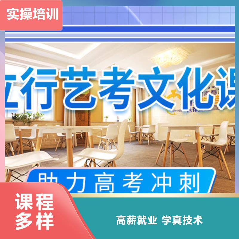 藝考生文化課培訓(xùn)補(bǔ)習(xí)有哪些