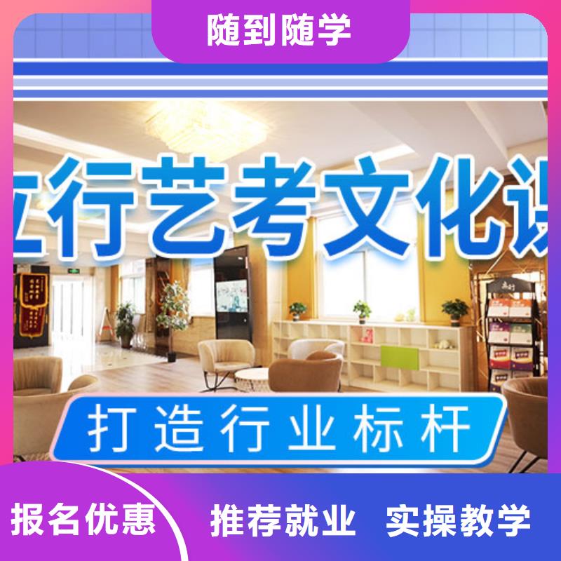 艺考文化课冲刺艺考复读清北班理论+实操