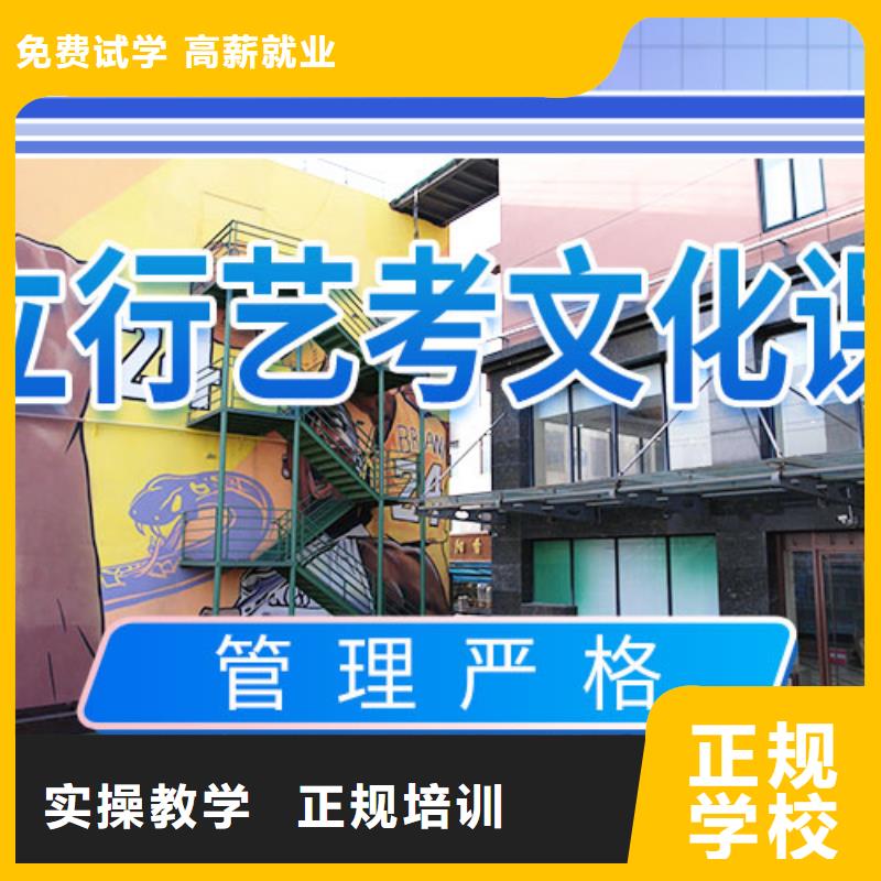 艺考文化课冲刺艺考复读清北班理论+实操