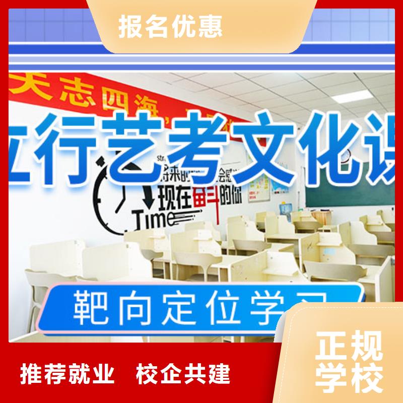 艺考文化课冲刺艺考复读清北班理论+实操