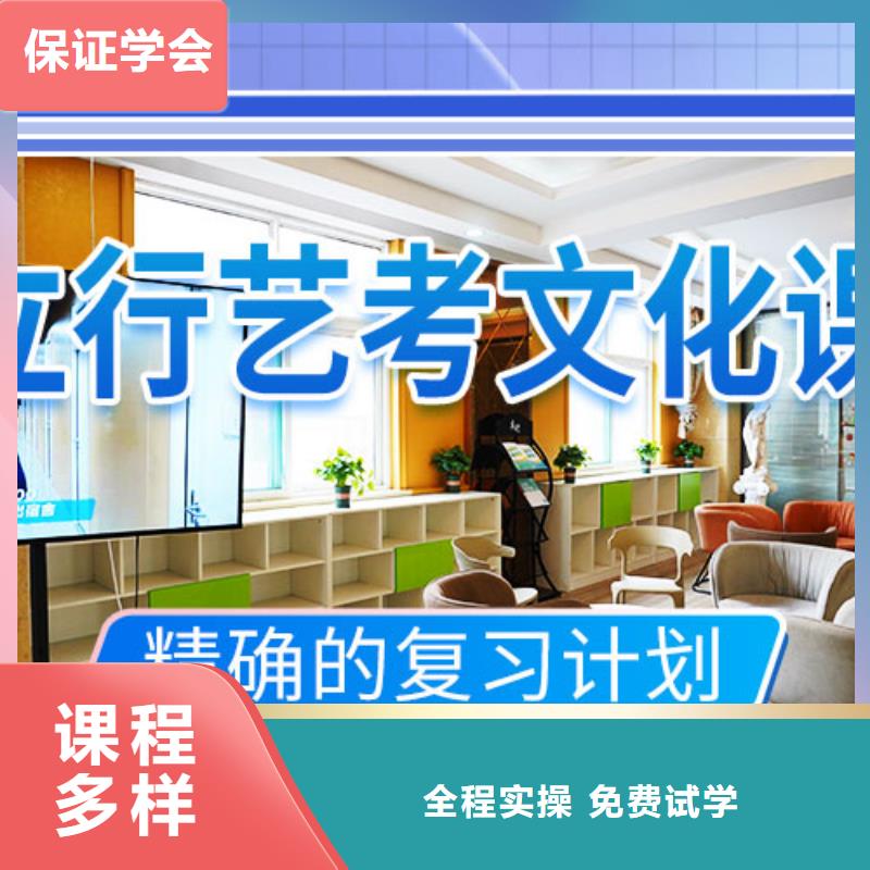 艺考文化课冲刺艺考复读清北班理论+实操
