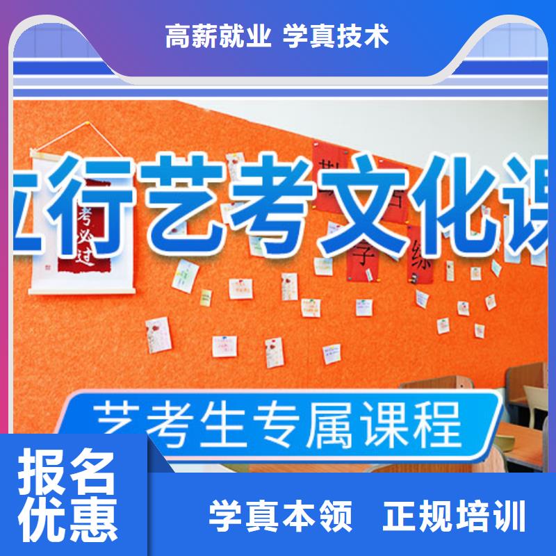 艺考文化课冲刺艺考复读清北班理论+实操