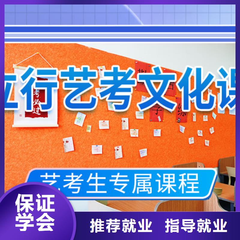 艺考文化课冲刺艺考复读清北班理论+实操