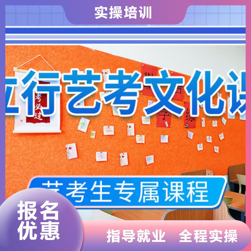 艺考文化课冲刺-艺考培训学真本领
