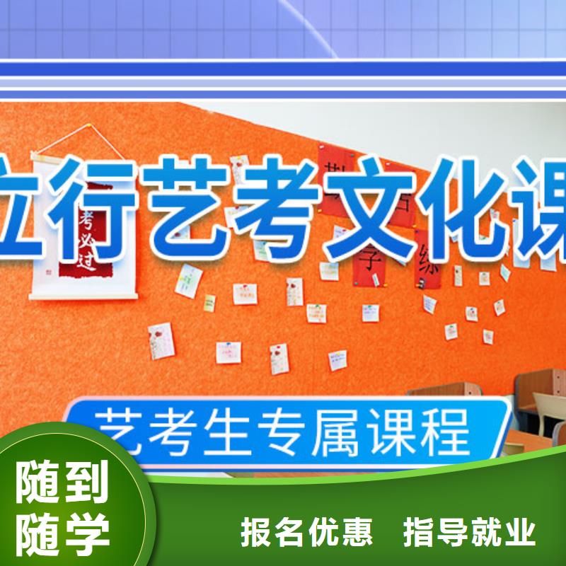 艺考文化课冲刺艺考复读清北班理论+实操