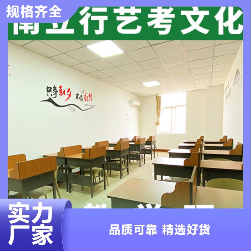 艺考文化课,【艺考培训机构】课程多样