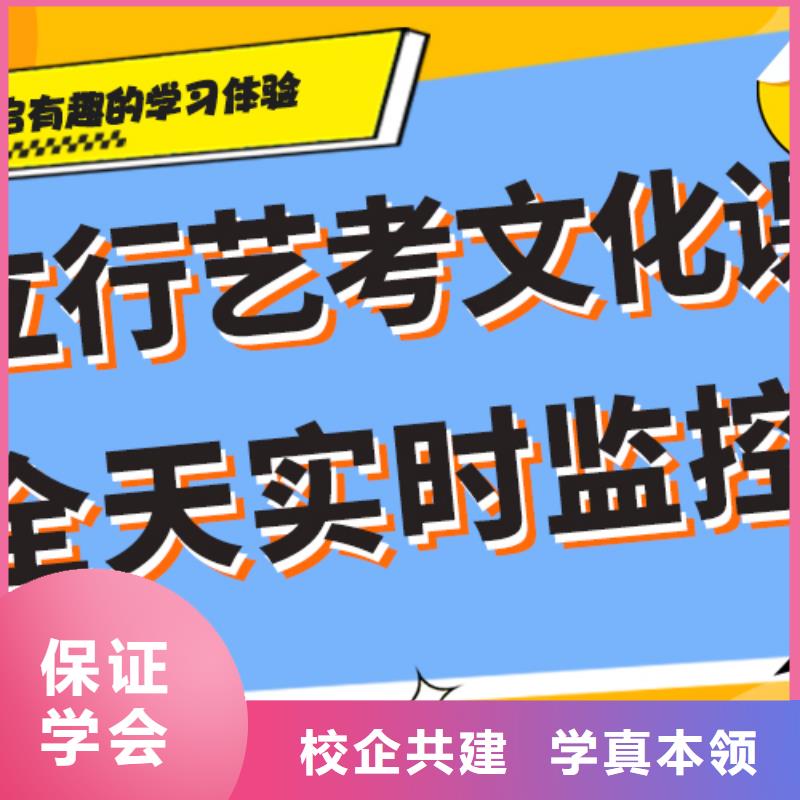 艺考文化课培训高考语文辅导实操培训