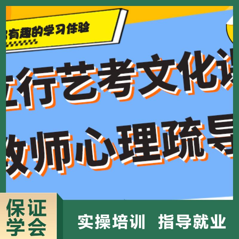 艺考文化课培训高考语文辅导实操培训